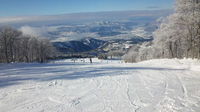 36205302_2540556716.jpg
