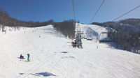 36205302_2797835054.jpg