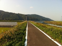 2010110702.jpg