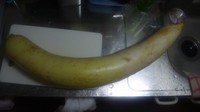 2010122501.jpg