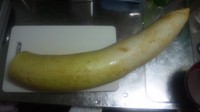 2010122503.jpg